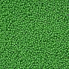 11/0 Grade A Baking Paint Glass Seed Beads X-SEED-N001-A-1027-2