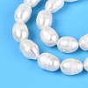 Natural Cultured Freshwater Pearl Beads Strands PEAR-T006-19B-4
