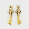 Tibetan Style Alloy Pendants GLF0220Y-1