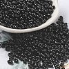 Opaque Glass Seed Beads SEED-K009-06B-01-1