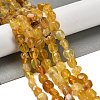 Natural Yellow Opal Beads Strands G-P497-01E-34B-2