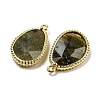 Natural Labradorite Faceted Pendants G-M431-14G-05-2