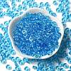 Transparent Colours Glass Seed Beads SEED-E001-T3x6mm-05-2