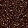 MIYUKI Round Rocailles Beads X-SEED-G009-RR0301-2