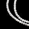 Natural White Shell Beads X-G-N0190-11-2mm-7