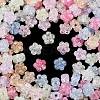Transparent Crackle Acrylic Beads X-OACR-B031-21-2