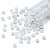6/0 Opaque Glass Seed Beads SEED-YW0002-13Q-2