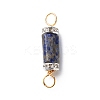 Natural Mixed Gemstone Connector Charms PALLOY-JF01885-2