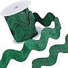 5 Yards Polyester Wavy Fringe Trim Ribbon OCOR-GF0003-45A-1