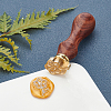 Brass Wax Seal Stamp AJEW-WH0192-022-3