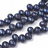 Natural Cultured Freshwater Pearl Beads Strands PEAR-S013-07-1