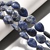 Natural Blue Spot Jasper Beads Strands G-P561-B06-01-2