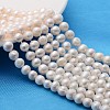 Natural Cultured Freshwater Pearl Beads Strands X-A02S7013-1