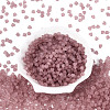 FGB Frosted Transparent Glass Seed Beads SEED-N013-03A-06-2
