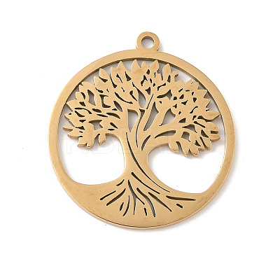 304 Stainless Steel Pendants STAS-V016-11G-1