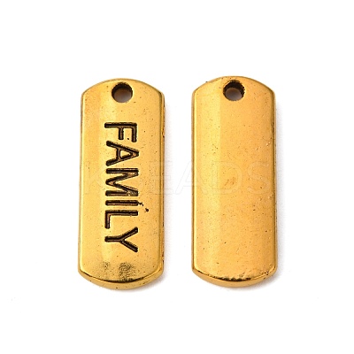 Tibetan Style Alloy Rectangle with Word Family Pendants TIBEP-Q043-057AG-RS-1