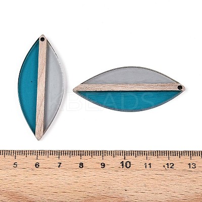 Transparent Resin & Wood Pendants RESI-T057-63A-1