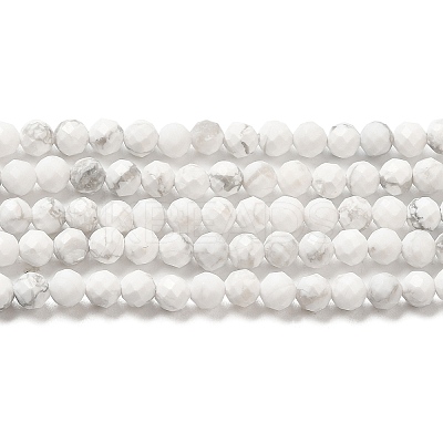 Natural Howlite Beads Strands X-G-E608-A01-B-1