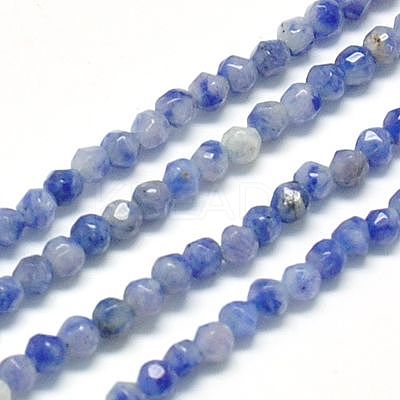 Natural Sodalite Beads Strands G-J002-09-1