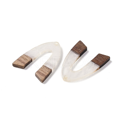 Resin & Wood Pendants WOOD-F015-16H-1