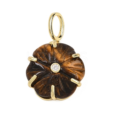 Natural Tiger Eye Carved Pendants G-G330-01G-03-1
