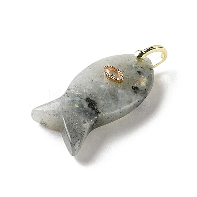 Natural Labradorite Pendants G-Z102-02G-05-1