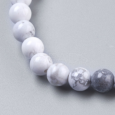 Natural Howlite Beads Strands X-TURQ-G091-6mm-1