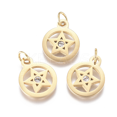 316 Surgical Stainless Steel Charms STAS-L242-04G-1