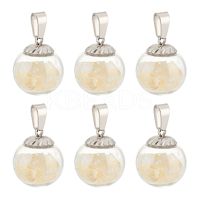 6Pcs Transparent Globe Glass Bubble Cover Pendants G-FG0001-06-1