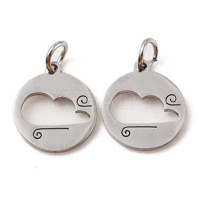 Non-Tarnish 304 Stainless Steel Charms LS-STAS-D050-07P-06-1