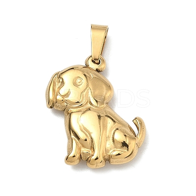 304 Stainless Steel Pendants STAS-F336-10G-02-1