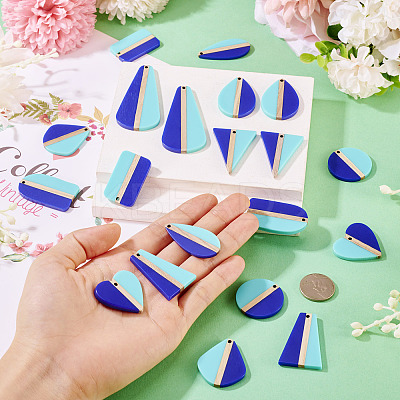 20Pcs 10 Styles Opaque Resin & Natural Wood Pendants RESI-TA0004-62-1