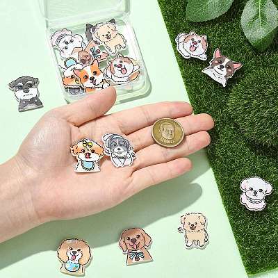 20Pcs 10 Styles Acrylic Cabochons SACR-CJ0001-87-1