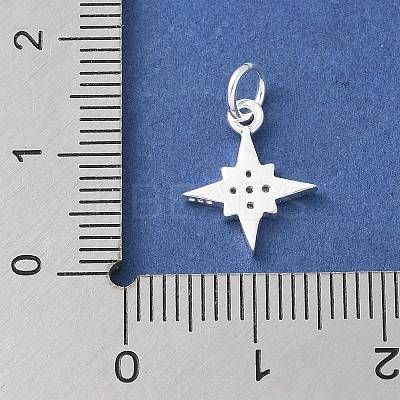 S925 Sterling Silver Micro Pave Cubic Zirconia Pendant STER-H115-02B-S-1