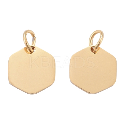 201 Stainless Steel Charms STAS-S105-T626-2-1