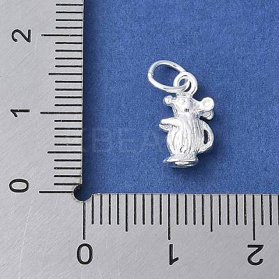 925 Sterling Silver 3D Chinese Zodiac Charms STER-P066-01S-01-1