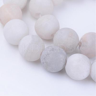 Natural Agate Beads Strands G-Q462-10mm-09-1