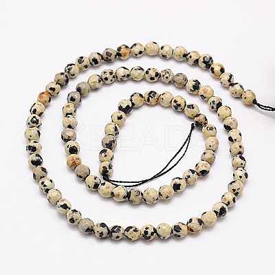 Natural Dalmation Jasper Beads Strands G-G545-11-1