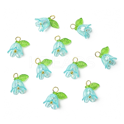 Transparent Acrylic Pendants PALLOY-YW00081-04-1