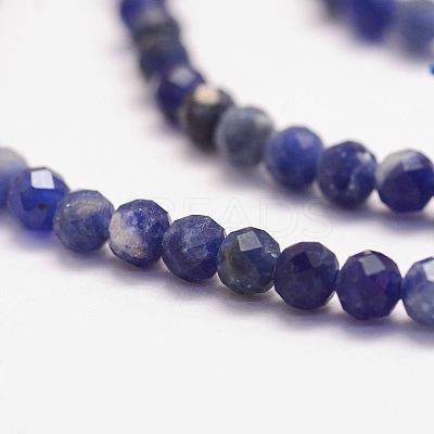 Natural Sodalite Bead Strands X-G-P279-58-3mm-1
