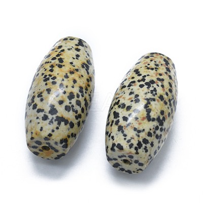 Natural Dalmatian Jasper Two Half Drilled Holes Beads G-G795-11-13-1