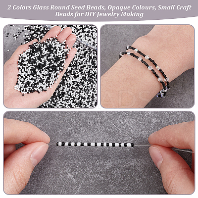 200G 2 Colors 12/0 Glass Round Seed Beads SEED-PH0002-11A-1