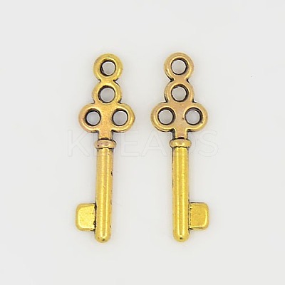 Tibetan Style Alloy Pendants GLF0220Y-1