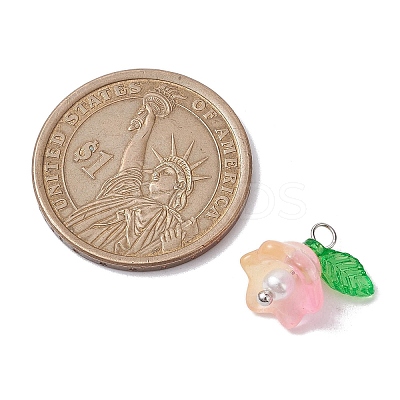 Mixed Color Glass Pearl & Acrylic Charms PALLOY-JF02567-01-1