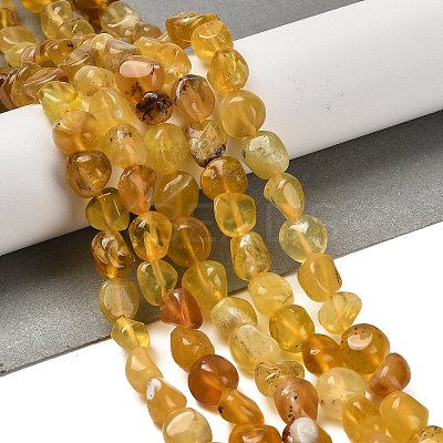Natural Yellow Opal Beads Strands G-P497-01E-34B-1