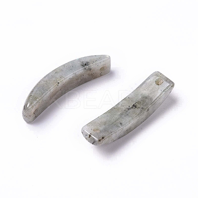 Natural Labradorite Connector Charms G-C015-01B-1