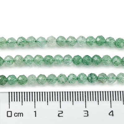 Natural Green Strawberry Quartz Beads Strands X-G-Z034-A02-03-1