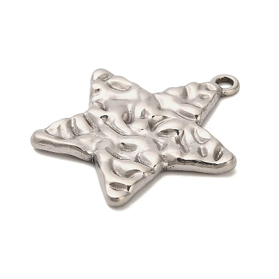 304 Stainless Steel Pendants X-STAS-P417-04B-P-1