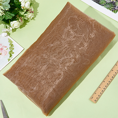 Organza Fabric DIY-WH20050-60D-1