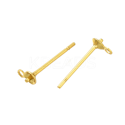 304 Stainless Steel Stud Earring Findings STAS-P370-02B-G-1